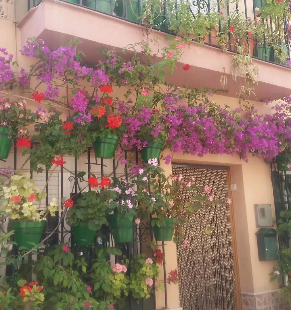 Apartment With 2 Bedrooms In Estepona, With Wonderful Sea View, Pool A